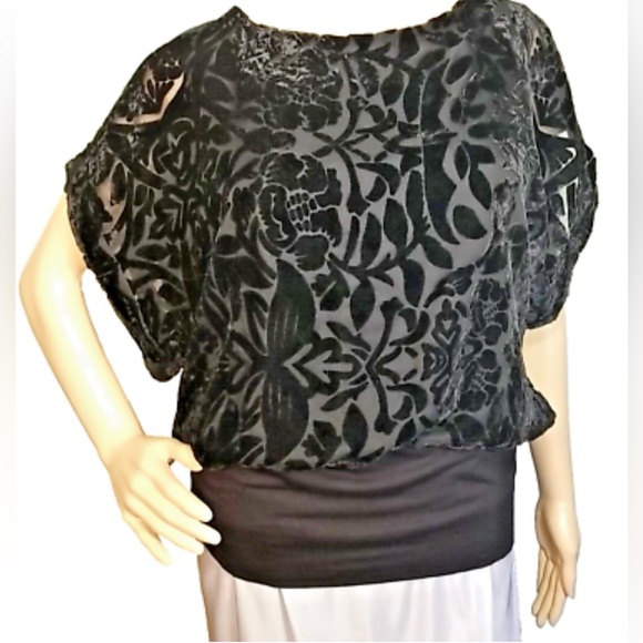 Joseph Ribkoff Tops - Joseph A. Black Velvet Rounded Floral/Leaf Print Collar Top - Size L‎